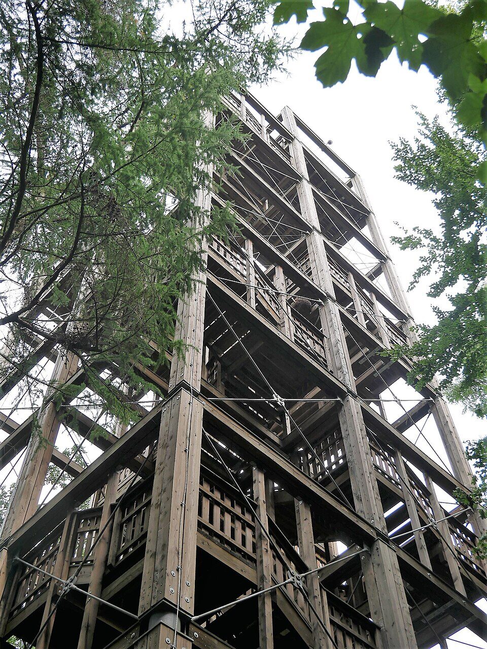 Waldstation Eilenriede Aussichtsturm