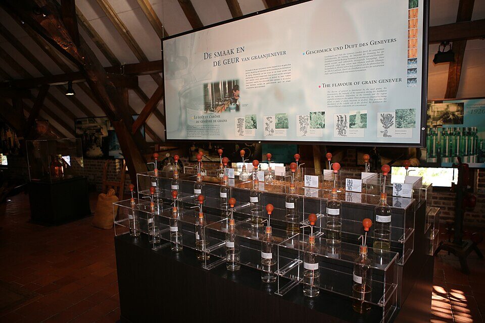 Nationaal Jenevermuseum Hasselt - geuren en smaken herkennen