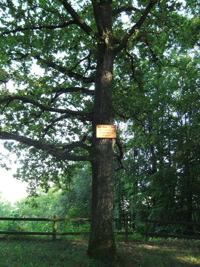Haußerhöhe