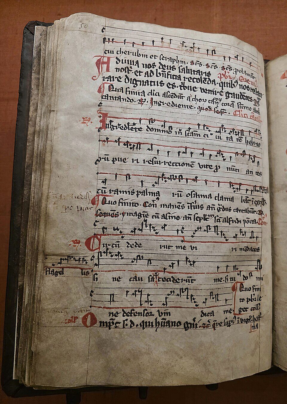 Liber Ordinarius (2)