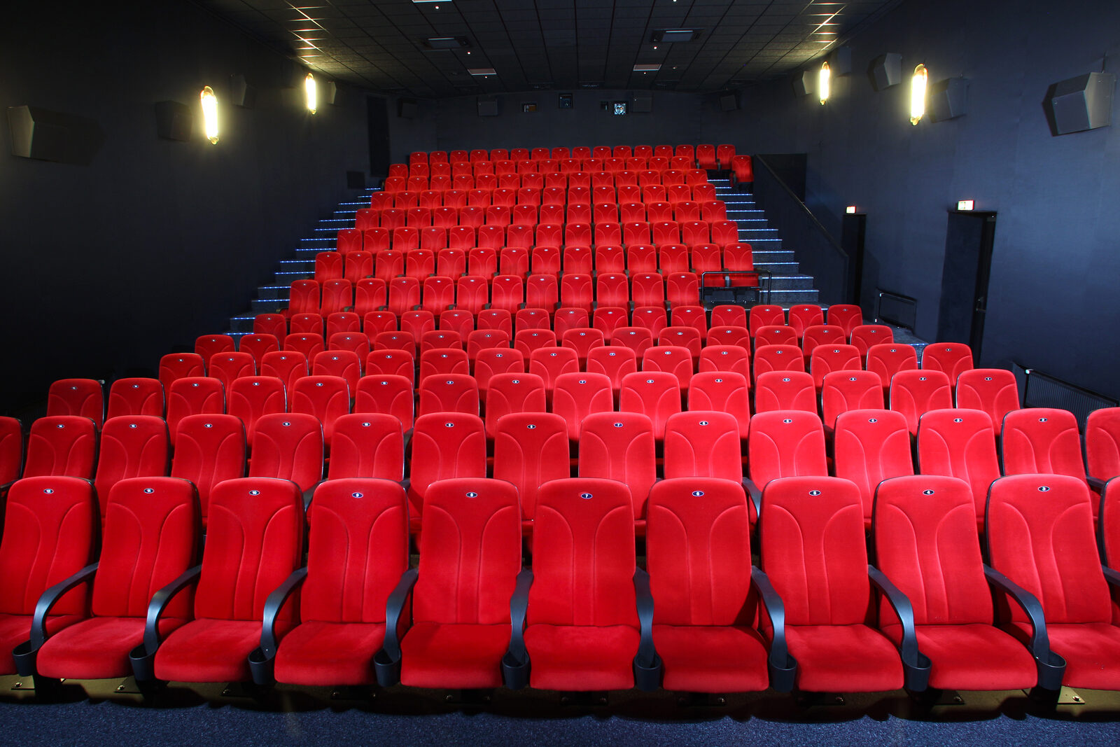 Bärenkino