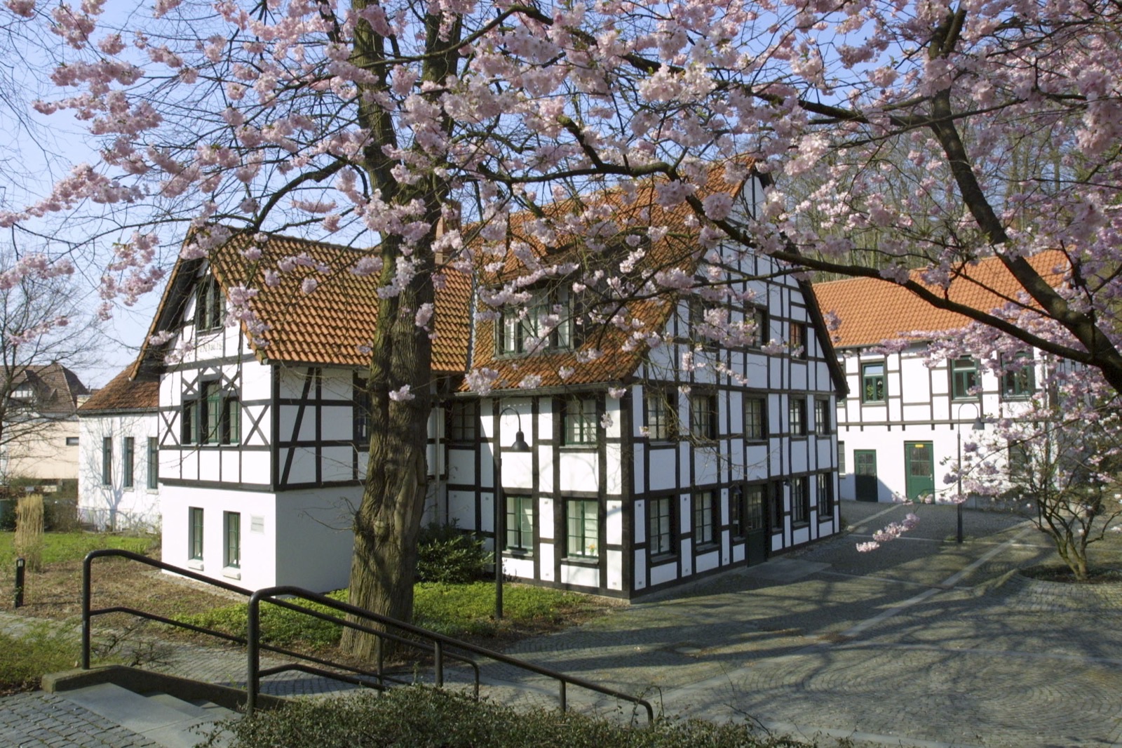 Fachwerkhaus der Historischen Sammlung Bethel zur Kirschblüte