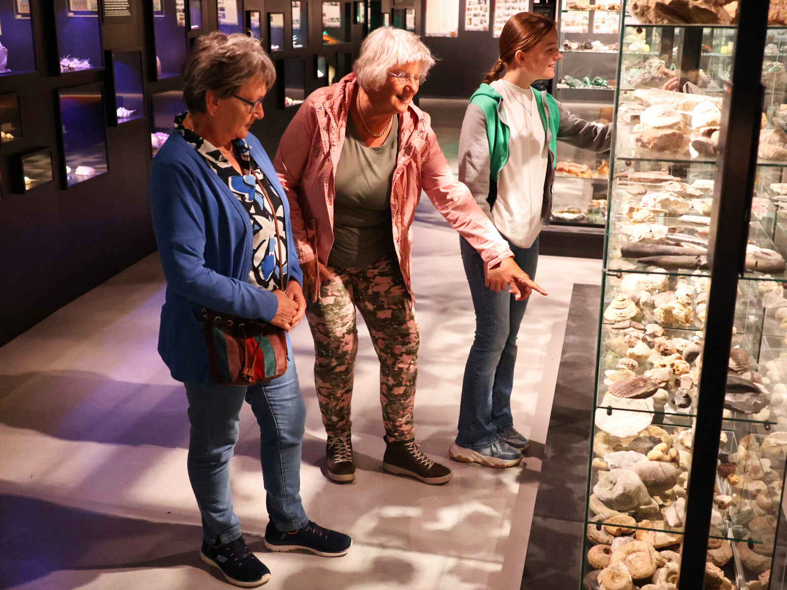 Drei Besucherinnen betrachten eine beleuchtete Vitrine mit Fossilien und Mineralien in der naturhistorischen Sammlung
