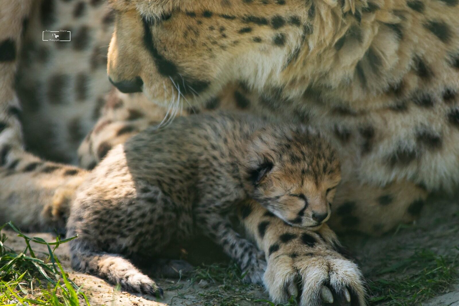 Tierpark Irgenöd